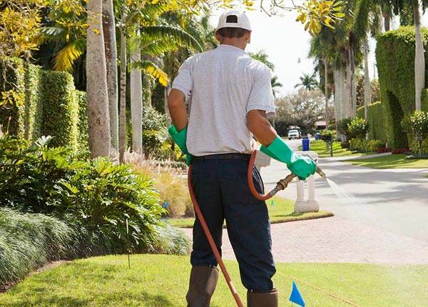 About Netawaka KS Pest Control